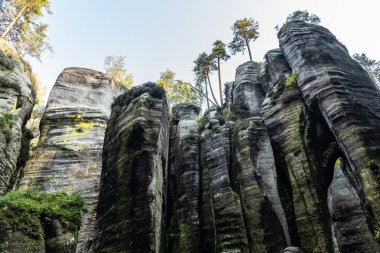 Adrspach Teplice Ulusal Parkı yıkılıyor. Merkez Sudetlerdeki Adrspach Teplice Kayalıkları Tepe Dağları Masa Dağları 'nın bir kısmını oluşturur. Çek Cumhuriyeti, Adrspach 'taki güzel kireçtaşı kumtaşları kayalar. 