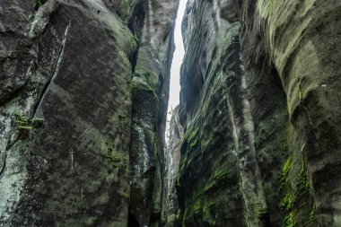 Adrspach Teplice Ulusal Parkı yıkılıyor. Merkez Sudetlerdeki Adrspach Teplice Kayalıkları Tepe Dağları Masa Dağları 'nın bir kısmını oluşturur. Çek Cumhuriyeti, Adrspach 'taki güzel kireçtaşı kumtaşları kayalar. 