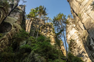 Adrspach Teplice Ulusal Parkı yıkılıyor. Merkez Sudetlerdeki Adrspach Teplice Kayalıkları Tepe Dağları Masa Dağları 'nın bir kısmını oluşturur. Çek Cumhuriyeti, Adrspach 'taki güzel kireçtaşı kumtaşları kayalar. 