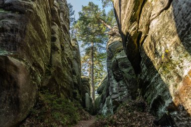 Adrspach Teplice Ulusal Parkı yıkılıyor. Merkez Sudetlerdeki Adrspach Teplice Kayalıkları Tepe Dağları Masa Dağları 'nın bir kısmını oluşturur. Çek Cumhuriyeti, Adrspach 'taki güzel kireçtaşı kumtaşları kayalar. 