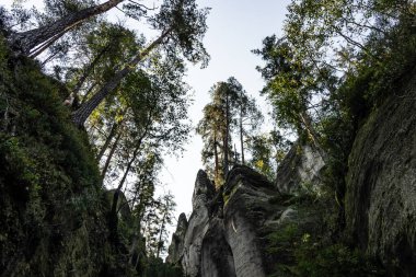 Adrspach Teplice Ulusal Parkı yıkılıyor. Merkez Sudetlerdeki Adrspach Teplice Kayalıkları Tepe Dağları Masa Dağları 'nın bir kısmını oluşturur. Çek Cumhuriyeti, Adrspach 'taki güzel kireçtaşı kumtaşları kayalar. 