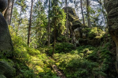 Adrspach Teplice Ulusal Parkı yıkılıyor. Merkez Sudetlerdeki Adrspach Teplice Kayalıkları Tepe Dağları Masa Dağları 'nın bir kısmını oluşturur. Çek Cumhuriyeti, Adrspach 'taki güzel kireçtaşı kumtaşları kayalar. 