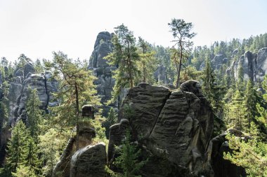 Adrspach Teplice Ulusal Parkı yıkılıyor. Merkez Sudetlerdeki Adrspach Teplice Kayalıkları Tepe Dağları Masa Dağları 'nın bir kısmını oluşturur. Çek Cumhuriyeti, Adrspach 'taki güzel kireçtaşı kumtaşları kayalar. 