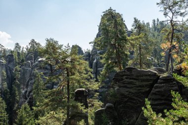 Adrspach Teplice Ulusal Parkı yıkılıyor. Merkez Sudetlerdeki Adrspach Teplice Kayalıkları Tepe Dağları Masa Dağları 'nın bir kısmını oluşturur. Çek Cumhuriyeti, Adrspach 'taki güzel kireçtaşı kumtaşları kayalar. 