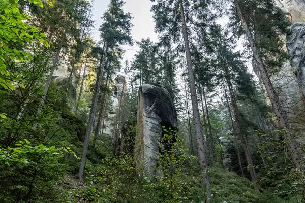 stock image National Park of Adrspach Teplice rocks. Adrspach Teplice Rocks mountain range in Central Sudetes part of the Table Mountains. Beautiful limestone sandstones rocks in Adrspach, Czech Republic. 