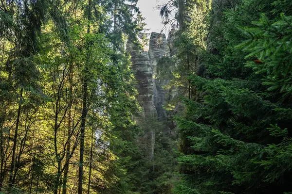 Adrspach Teplice Ulusal Parkı yıkılıyor. Merkez Sudetlerdeki Adrspach Teplice Kayalıkları Tepe Dağları Masa Dağları 'nın bir kısmını oluşturur. Çek Cumhuriyeti, Adrspach 'taki güzel kireçtaşı kumtaşları kayalar. 