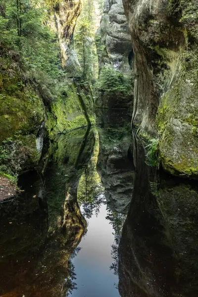 Adrspach Teplice Ulusal Parkı yıkılıyor. Merkez Sudetlerdeki Adrspach Teplice Kayalıkları Tepe Dağları Masa Dağları 'nın bir kısmını oluşturur. Çek Cumhuriyeti, Adrspach 'taki güzel kireçtaşı kumtaşları kayalar. 