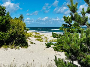 Baltık Denizi 'ndeki Hel Wild plajlarında güzel vahşi plajlar. Polonya, Baltık Denizi ve Puck Körfezi 'ndeki Hel Yarımadası' nın havadan görünüşü. Polonya 'da vahşi sahil