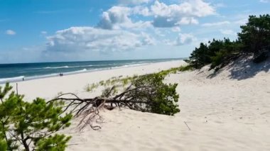 Baltık Denizi 'ndeki Hel Wild plajlarında güzel vahşi plajlar. Polonya, Baltık Denizi ve Puck Körfezi 'ndeki Hel Yarımadası' nın havadan görünüşü. Polonya 'da vahşi sahil
