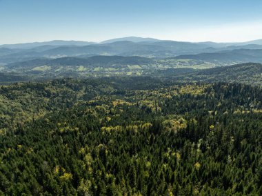 Little Beskids mountain range.Aerial drone view of Rzyki Village in Beskid Maly Poland.Beskid Maly aerial panorama of potrojna hill and czarny gron.Czarny gron ski resort in Rzyki, Andrychow, Poland. clipart