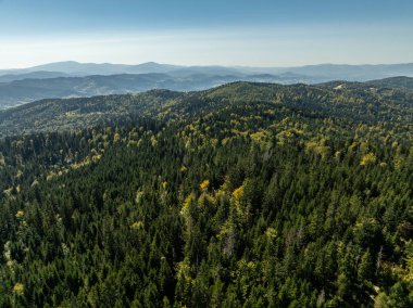 Beskid dağ sıraları. Beskid Maly Poland.Beskid Maly 'deki Rzyki köyünün insansız hava aracı görüntüsü. Potrojna tepesi ve kertenkele gronu. Polonya' nın Rzyki kentindeki Czarny gron kayak merkezi..