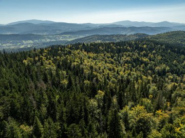 Beskid dağ sıraları. Beskid Maly Poland.Beskid Maly 'deki Rzyki köyünün insansız hava aracı görüntüsü. Potrojna tepesi ve kertenkele gronu. Polonya' nın Rzyki kentindeki Czarny gron kayak merkezi..