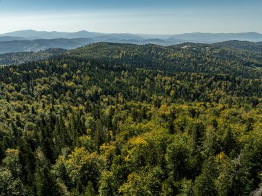 Beskid dağ sıraları. Beskid Maly Poland.Beskid Maly 'deki Rzyki köyünün insansız hava aracı görüntüsü. Potrojna tepesi ve kertenkele gronu. Polonya' nın Rzyki kentindeki Czarny gron kayak merkezi..