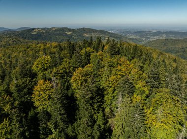 Beskid dağ sıraları. Beskid Maly Poland.Beskid Maly 'deki Rzyki köyünün insansız hava aracı görüntüsü. Potrojna tepesi ve kertenkele gronu. Polonya' nın Rzyki kentindeki Czarny gron kayak merkezi..