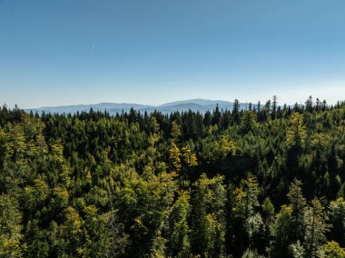 Beskid dağ sıraları. Beskid Maly Poland.Beskid Maly 'deki Rzyki köyünün insansız hava aracı görüntüsü. Potrojna tepesi ve kertenkele gronu. Polonya' nın Rzyki kentindeki Czarny gron kayak merkezi..