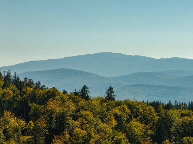 Beskid dağ sıraları. Beskid Maly Poland.Beskid Maly 'deki Rzyki köyünün insansız hava aracı görüntüsü. Potrojna tepesi ve kertenkele gronu. Polonya' nın Rzyki kentindeki Czarny gron kayak merkezi..