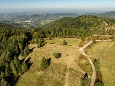 Beskid dağ sıraları. Beskid Maly Poland.Beskid Maly 'deki Rzyki köyünün insansız hava aracı görüntüsü. Potrojna tepesi ve kertenkele gronu. Polonya' nın Rzyki kentindeki Czarny gron kayak merkezi..
