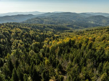 Beskid dağ sıraları. Beskid Maly Poland.Beskid Maly 'deki Rzyki köyünün insansız hava aracı görüntüsü. Potrojna tepesi ve kertenkele gronu. Polonya' nın Rzyki kentindeki Czarny gron kayak merkezi..