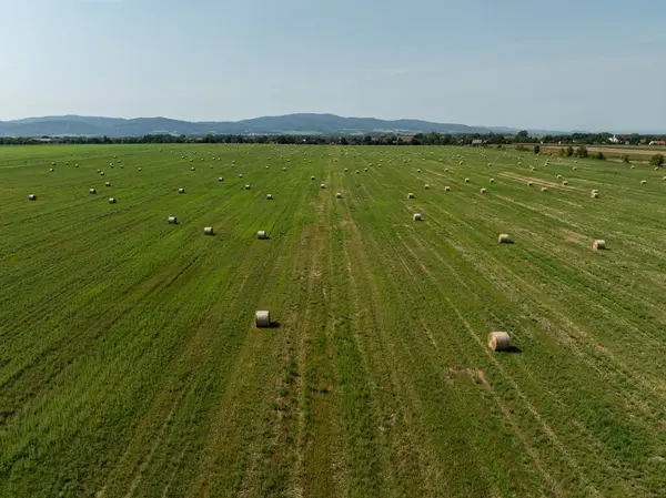 stock image Green field in the countryside in summer full of straw bales in the Opole province in Poland. Aerial View of Summer Field Landscape With With Dry Hay Bales During Harvest. 