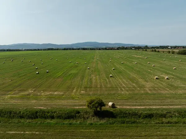 stock image Green field in the countryside in summer full of straw bales in the Opole province in Poland. Aerial View of Summer Field Landscape With With Dry Hay Bales During Harvest. 