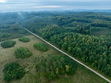 Kulka Reserve, Masuria, Polonya 'daki yeşil ormanın insansız hava aracı görüntüsü. Masurian Gölü Bölgesi 'ndeki orman. Sisli ve bulutlu bir günde yeşil orman.