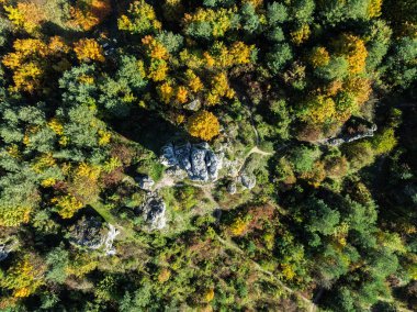 Sonbahar ormanlarıyla çevrili kireçtaşı kayaları. Rzedkowice kireçtaşı kayalarının insansız hava aracı görüntüsü. Rzedkowice kasabasındaki kayalar grubu. Polonya 'da Jurasik kireç taşı kayaları. Jura Krakowsko - Czestochowska, Polonya.