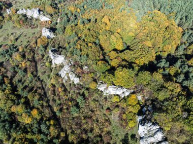 Limestone rock surrounded by autumn forest.Aerial drone view of Rzedkowice limstone Rocks.Group of rocks in Rzedkowice town. Jurassic limstone rocks in Poland. Jura Krakowsko - Czestochowska, Poland. clipart