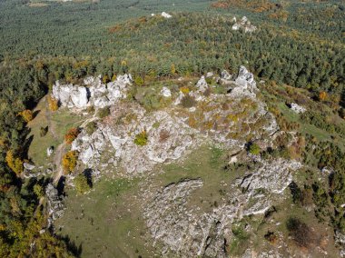 Polish Jurassic Highland Mountainl Zborow in autumn. Aerial drone view of Zborow Hill, Poland. Limestone rock formation at peak of Gora Zborow, Podlesice, Poland. Krakow-Czestochowa Upland clipart