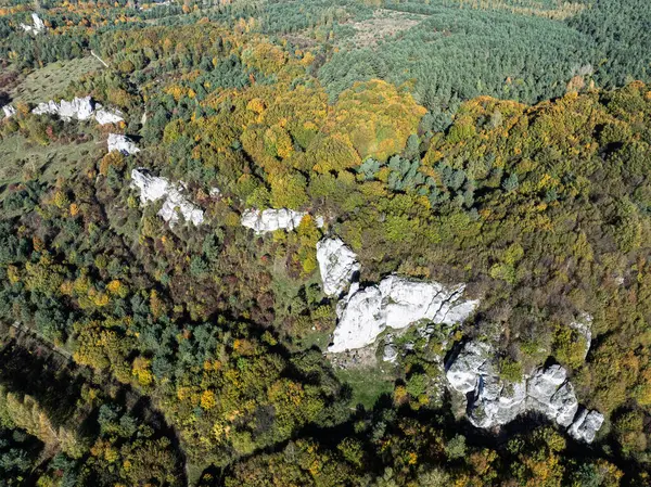 Sonbahar ormanlarıyla çevrili kireçtaşı kayaları. Rzedkowice kireçtaşı kayalarının insansız hava aracı görüntüsü. Rzedkowice kasabasındaki kayalar grubu. Polonya 'da Jurasik kireç taşı kayaları. Jura Krakowsko - Czestochowska, Polonya.