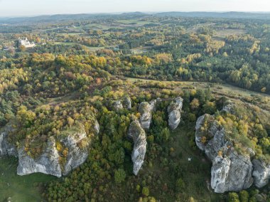 Sonbaharda Bobolice Kalesi 'nin insansız hava aracı görüntüsü. Kireçtaşı Kalesi harabeleri. Eski ortaçağ kalesi, Bobolice, Poland.Stronghold Kartalları Polonya' daki Jurassic Highland Nests köyündeki kraliyet kalesi.