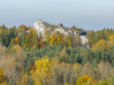 Birow Hill 'deki kalenin hava aracı görüntüsü. Sonbaharda kireç taşı tepesi. Polonya 'nın Ogrodzieniec kentindeki Podzamcze köyündeki Czestochowa Upland' da Birow Hill 'de yeniden inşa edilen kale.. 