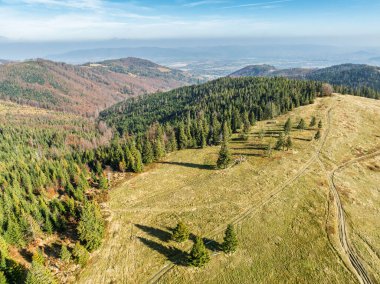Sonbaharda Beskid dağlarının hava aracı görüntüsü. Dağlardaki renkli sonbahar ağaçları ve ormanlar. Glinne, Radziechowska, Barania in the Polish Beskids. Silezya Beskid 'inde güzel güneşli bir sonbahar.