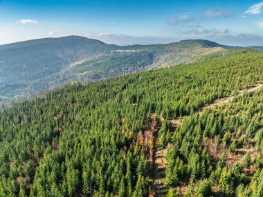 Sonbaharda Beskid dağlarının hava aracı görüntüsü. Dağlardaki renkli sonbahar ağaçları ve ormanlar. Glinne, Radziechowska, Barania in the Polish Beskids. Silezya Beskid 'inde güzel güneşli bir sonbahar.