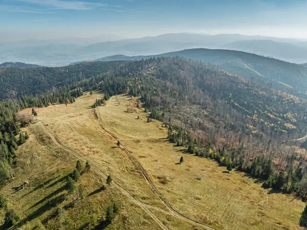 Sonbaharda Beskid dağlarının hava aracı görüntüsü. Dağlardaki renkli sonbahar ağaçları ve ormanlar. Glinne, Radziechowska, Barania in the Polish Beskids. Silezya Beskid 'inde güzel güneşli bir sonbahar.