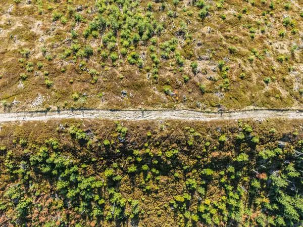 Sonbaharda Beskid dağlarının hava aracı görüntüsü. Dağlardaki renkli sonbahar ağaçları ve ormanlar. Glinne, Radziechowska, Barania in the Polish Beskids. Silezya Beskid 'inde güzel güneşli bir sonbahar.