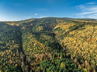 Beskid Dağları 'ndaki sonbaharın insansız hava aracı görüntüsü. Dağlarda güneşli bir sonbahar, Milowka, Polonya. Dağlardaki renkli sonbahar ağaçları ve ormanlar. 