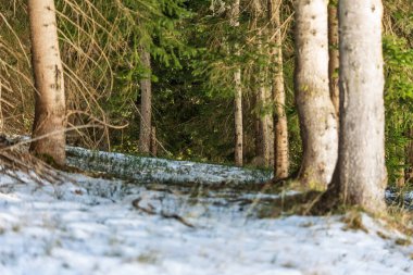 Santa Fosca Civetta tatil köyü. İtalya 'da kışın Dolomitler' in panoramik manzarası. Dolomitler 'de kayak merkezi, İtalya' da Alpler. Santa Fosca kayak pistleri ve dolomitlerle dağların hava aracı görüntüsü.
