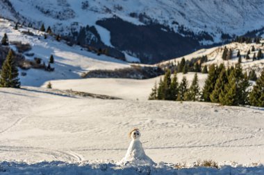 Sella Ronda group. Italian Dolomites drone aerial view in winter snow ski sunny days. Sella Ronda Marmolada .Aerial landscape of snowy Italian Alps Dolomites with Sella group in front and Marmolada. clipart