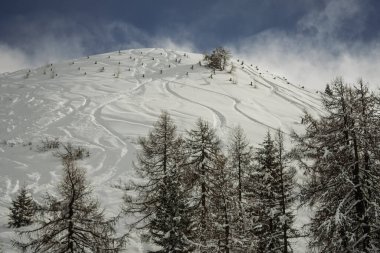 Dolomitlerde, Alplerde güneşli kış manzarası. İtalya, Madonna di Campiglio köyü ve İtalya 'da bir kayak merkezi. Val Rendena Dolomites Trentino İtalya 'daki Madonna di Campiglio tatil köyü. Kışın Dolomitler.