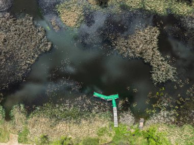 Polonya 'nın Olkusz kentindeki Pomorzany madeninde meydana gelen hasar sonucu su altında kalan bir göl bölgesi. Su basmış yolun hava aracı görüntüsü. Orman bir göle battı. Temiz suyu olan batık bir kum havuzu