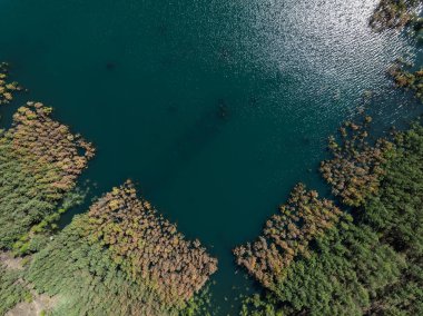 Polonya 'nın Olkusz kentindeki Pomorzany madeninde meydana gelen hasar sonucu su altında kalan bir göl bölgesi. Sel basmış kum çukurunun hava aracı görüntüsü. Orman bir göle battı. Temiz suyu olan batık bir kum havuzu