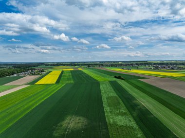 Hava aracı sarı tecavüz tohumlarının güzel tarlalarını görüyor. Tarlalarda köy çiftçiliği şekilleri. Sarı kolza tohumu açan bahar tarlaları, büyüyen bitkiler. Opole köyündeki tarlalar İHA 'dan.