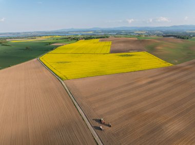 Hava aracı sarı tecavüz tohumlarının güzel tarlalarını görüyor. Tarlalarda köy çiftçiliği şekilleri. Sarı kolza tohumu açan bahar tarlaları, büyüyen bitkiler. Opole köyündeki tarlalar İHA 'dan.