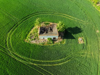 Hava aracı sarı tecavüz tohumlarının güzel tarlalarını görüyor. Tarlalarda köy çiftçiliği şekilleri. Sarı kolza tohumu açan bahar tarlaları, büyüyen bitkiler. Opole köyündeki tarlalar İHA 'dan.