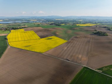 Hava aracı sarı tecavüz tohumlarının güzel tarlalarını görüyor. Tarlalarda köy çiftçiliği şekilleri. Sarı kolza tohumu açan bahar tarlaları, büyüyen bitkiler. Opole köyündeki tarlalar İHA 'dan.