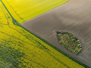 Hava aracı sarı tecavüz tohumlarının güzel tarlalarını görüyor. Tarlalarda köy çiftçiliği şekilleri. Sarı kolza tohumu açan bahar tarlaları, büyüyen bitkiler. Opole köyündeki tarlalar İHA 'dan.