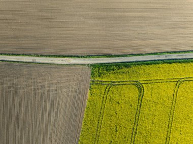 Hava aracı sarı tecavüz tohumlarının güzel tarlalarını görüyor. Tarlalarda köy çiftçiliği şekilleri. Sarı kolza tohumu açan bahar tarlaları, büyüyen bitkiler. Opole köyündeki tarlalar İHA 'dan.