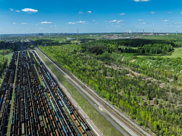 Kargo tren terminalinin hava aracı fotoğrafı, sanayi bölgesindeki demiryolu merkezi. Demiryolu vagonları raylarda.