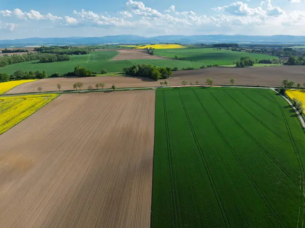 Hava aracı sarı tecavüz tohumlarının güzel tarlalarını görüyor. Tarlalarda köy çiftçiliği şekilleri. Sarı kolza tohumu açan bahar tarlaları, büyüyen bitkiler. Opole köyündeki tarlalar İHA 'dan.