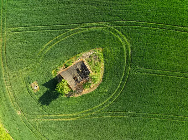 Hava aracı sarı tecavüz tohumlarının güzel tarlalarını görüyor. Tarlalarda köy çiftçiliği şekilleri. Sarı kolza tohumu açan bahar tarlaları, büyüyen bitkiler. Opole köyündeki tarlalar İHA 'dan.